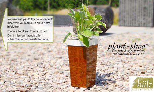 plant-shoo plants planters flower pots de fleurs design