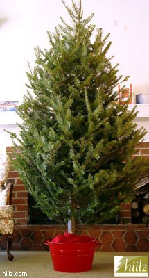 Planter to Christmas tree stand conversion kit